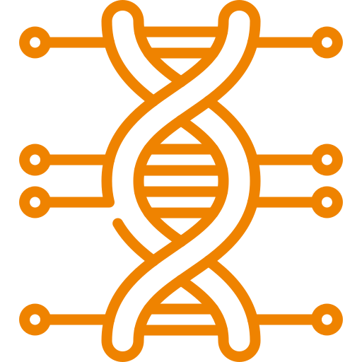 gelukstraject - genetisch bepaald